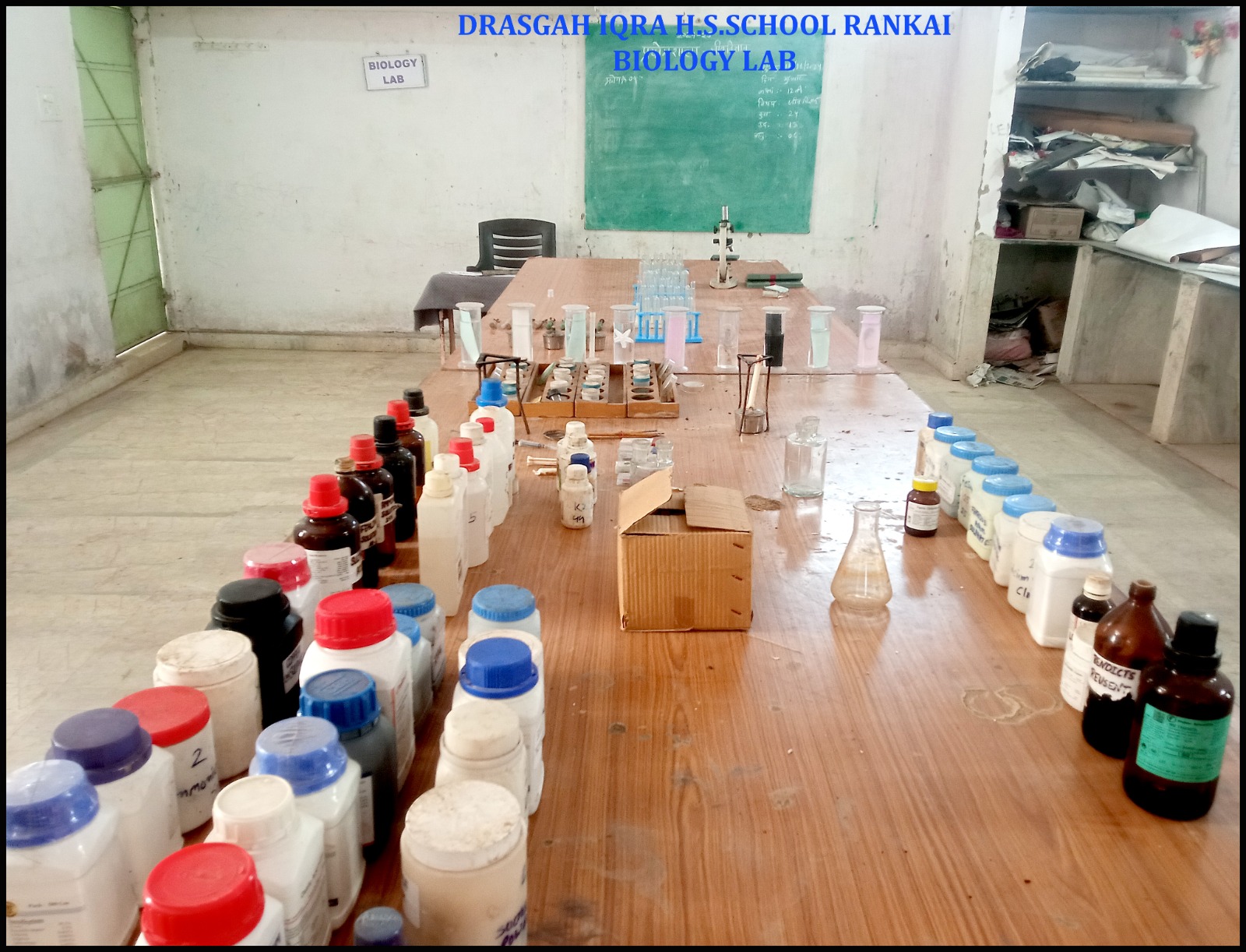 WhatsApp Image 2025-02-12 at 9.35.21 AM